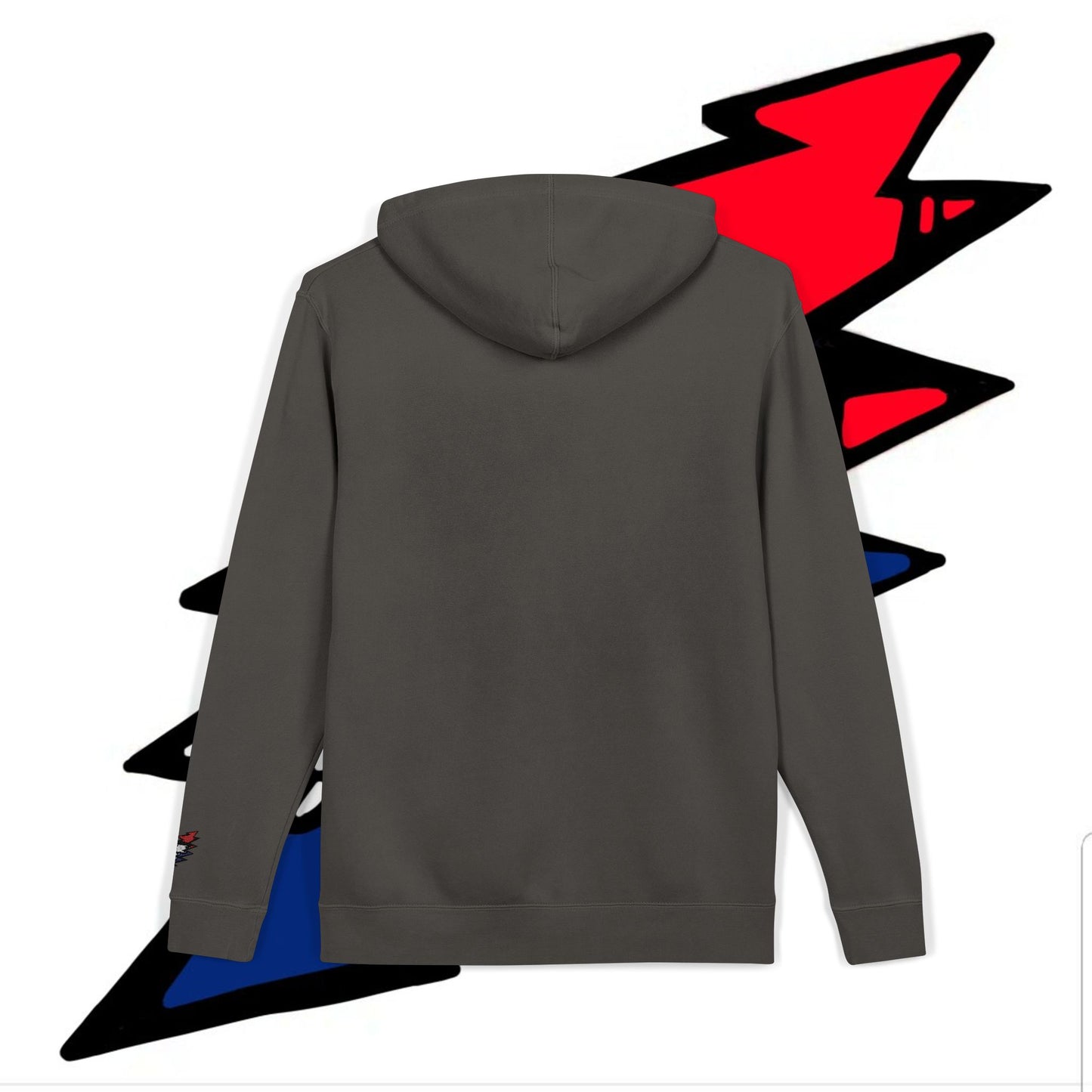 STEALIE BOLT EMBROIDERED PIGMENT DYED HOODIE